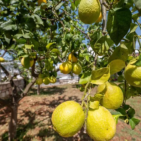 Ylli Gjika Konukevi Ksamil
