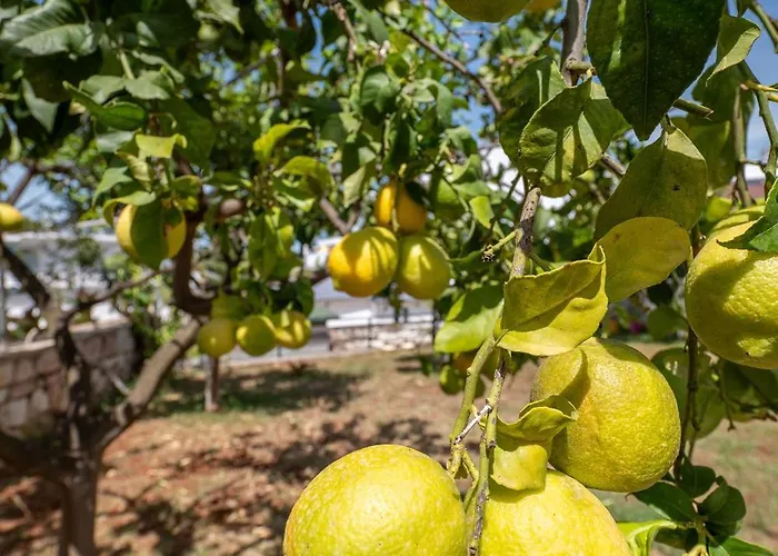 Ylli Gjika Gasthof Ksamil